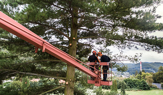 A man operating a cherry picker, elevated high above the ground, working on a construction or maintenance task.