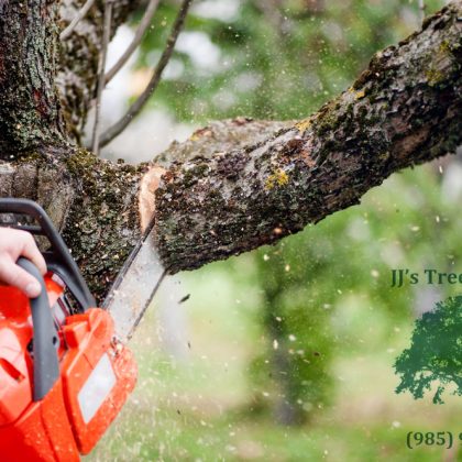 A person using a chainsaw to cut a tree branch, with sawdust flying in the air and a blurred green backdrop.