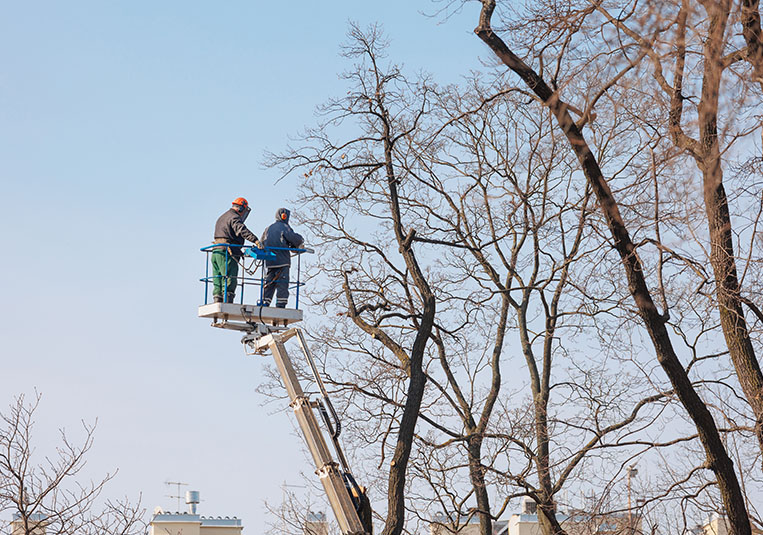 A crew positioned high in the air, performing maintenance on a building.